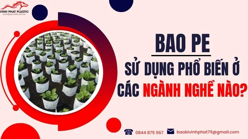 Túi (bao) PE sử dụng phổ biến ở các ngành nghề nào?