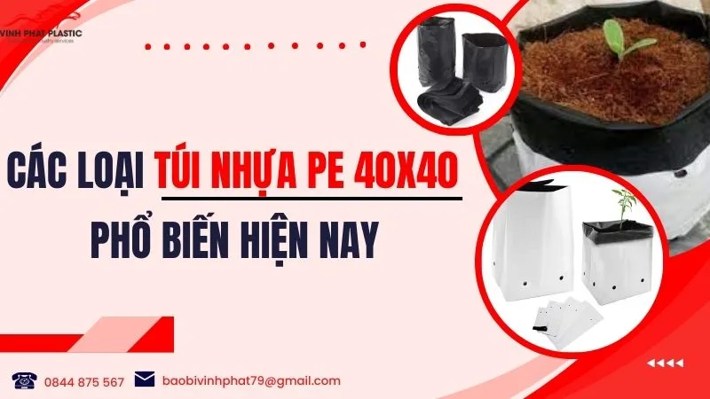 Các loại túi nhựa PE 40x40 phổ biến hiện nay