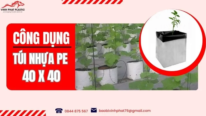 Công dụng của túi nhựa pe 40x40