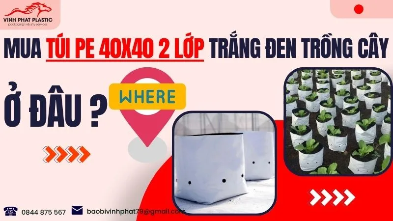 Mua túi nhựa PE 40x40 2 lớp trắng đen trồng cây ở đâu?