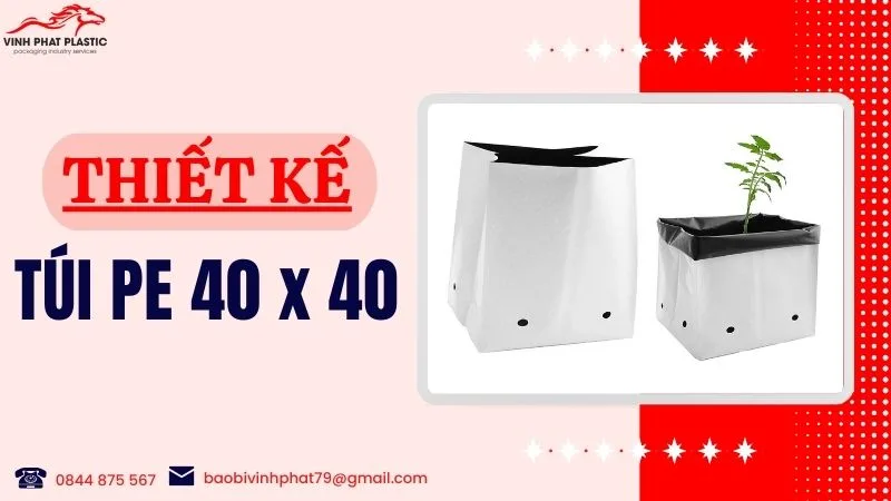 Túi pe 40x40 có thiết kế như thế nào?