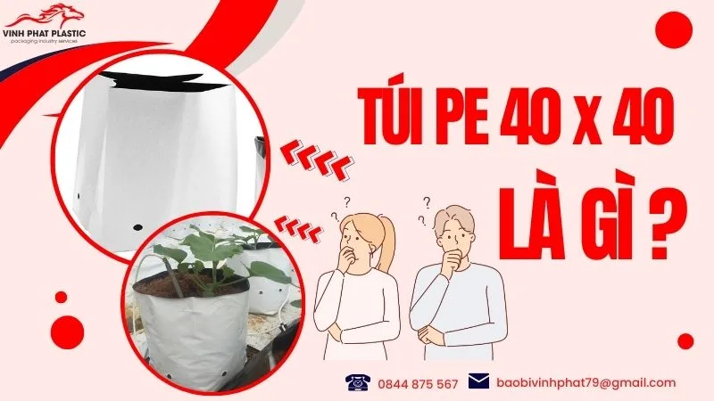 Túi PE 40x40 - thông tin sản phẩm 