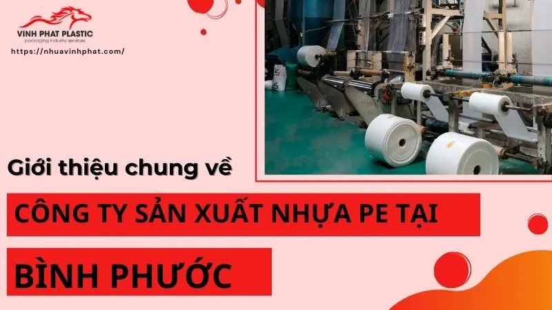 tìm hiểu về công ty sx túi pe tại Bình Phước