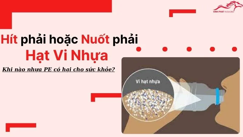 Hít phải hoặc Nuốt phải Hạt vi nhựa sẽ có hại cho sức khỏe