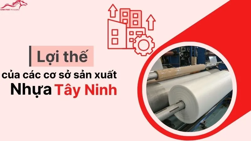 Lợi thế của các cơ sở sản xuất nhựa Tây Ninh