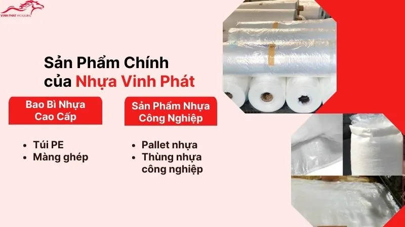 Các sản phẩm chính Công ty sản xuất bao bì Nhựa Vinh Phát đang kinh doanh