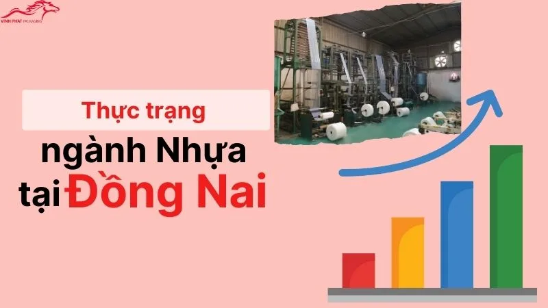 Thực trạng ngành nhựa tại Đồng Nai